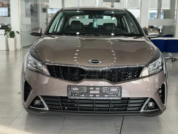 Купить Solaris KRS Коричневый 1.6 AT (123 л.с.) от 2425000 ₽. в Краснодаре